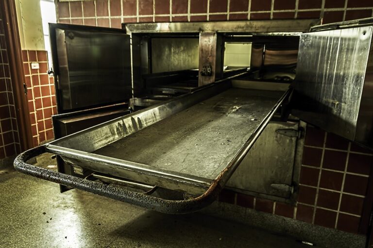 Detienen a 4 personas por venta de cadáveres a universidades en Valencia: Facturaron más de US$ 5.000