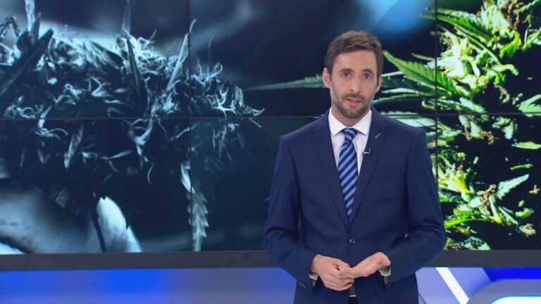 Daniel Matamala sobre la marihuana: 