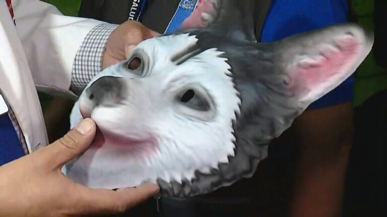 Buscan disminuir el uso de plástico en Halloween