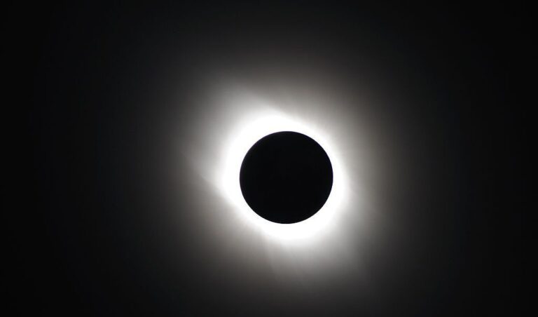 Lo mejor de 2019 en la ciencia de Chile y el mundo