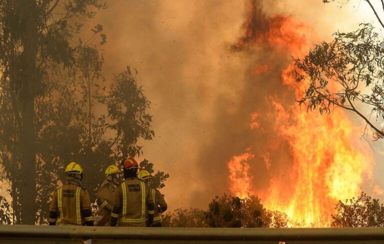 Intendencia de La Araucanía decreta alerta roja para las comunas de Ercilla y Los Sauces por incendio forestal