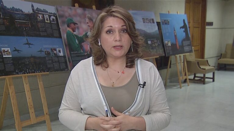 Diputada Andrea Parra: 