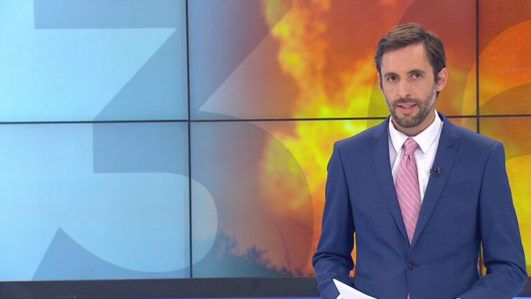 Daniel Matamala e incendios forestales: 