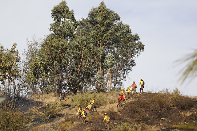 Sence lanzó cursos para formar brigadistas en control de incendios forestales