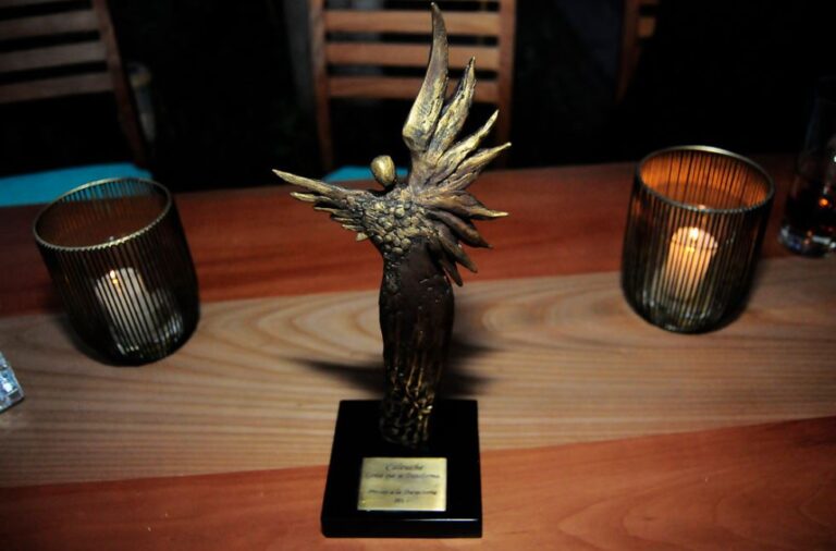 Premios Caleuche 2021: Conoce los nominados y nominadas para la ceremonia de este sábado