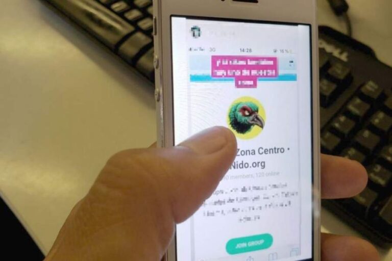 Caso Nido.org: Círculo cercano de presunto administrador del sitio está siendo investigado por la PDI