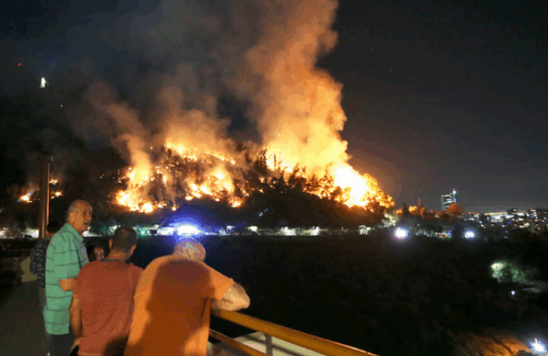 “Quemar el zoo” y “Liberación animal”: Los rayados que aparecieron hace dos semanas en el Parquemet