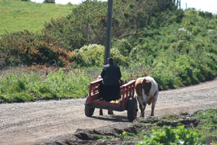 El Gobierno inició proceso de restitución de tierras devolvendo 172 hectáreas a una comunidad mapuche