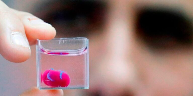 Las noticias que impactaron el mundo de la ciencia en 2019