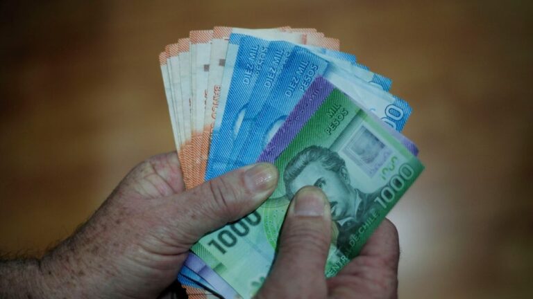 Revisa si te corresponde algún beneficio estatal en la plataforma de Red de Protección Social