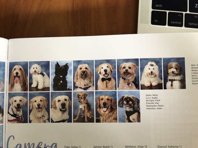 ¿Por qué las víctimas de una masacre en EE.UU incluyeron la foto de 14 perros en su anuario?