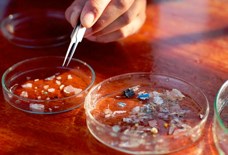 La contaminación por microplástico es tan alta que estás inhalando una tarjeta de crédito a la semana