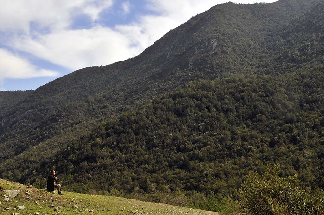 Parque La Campana prohíbe hacer camping y fogatas debido a disminución del 52% de su vegetación