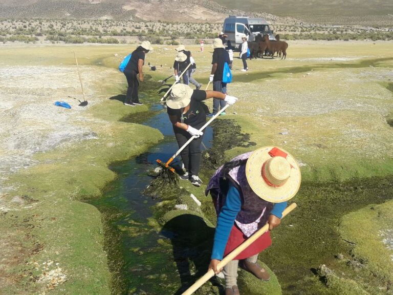 Coca-Cola informa que recuperó el 100% del agua que utilizó con apoyo de comunidades aymara