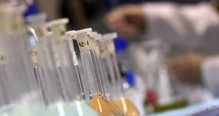 Descubren en Talca un nuevo método para diagnosticar el COVID-19