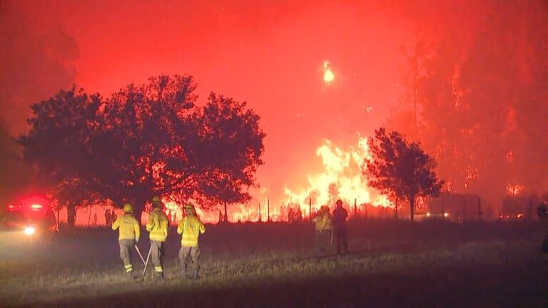 12 incendios forestales se mantienen activos en el país