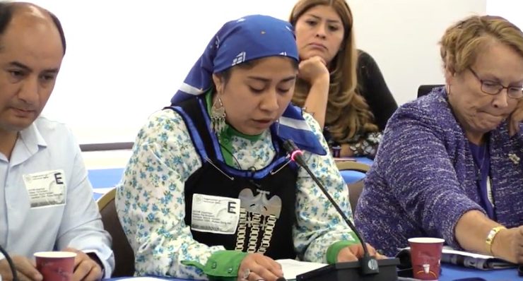 Hija de Alberto Curamil: “Lo que está pasando en Chile es lo que el pueblo mapuche viene denunciando hace décadas”