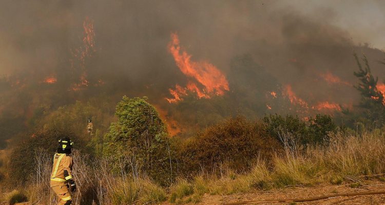 Declaran alerta roja para dos comunas de la Región de La Araucanía por incendios forestales