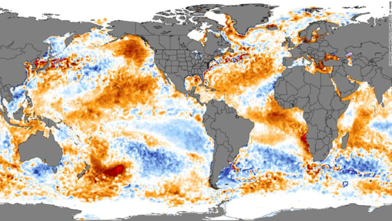 Hay una mancha de agua caliente del tamaño de Venezuela frente a la costa de Nueva Zelandia