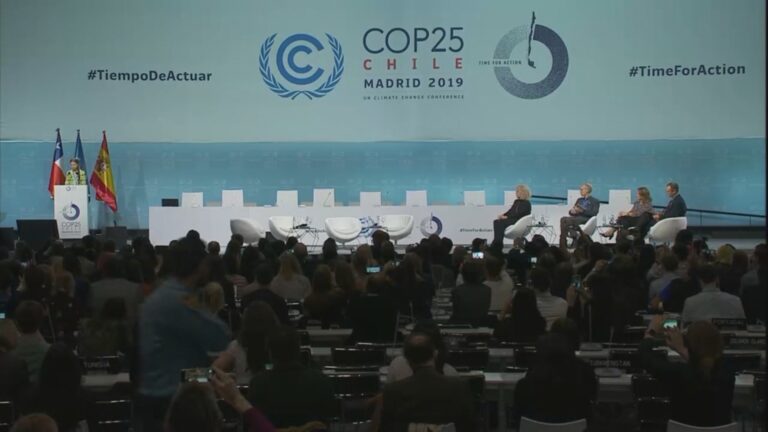 La COP25 termina sin consenso sobre el polémico artículo 6 del Acuerdo de París
