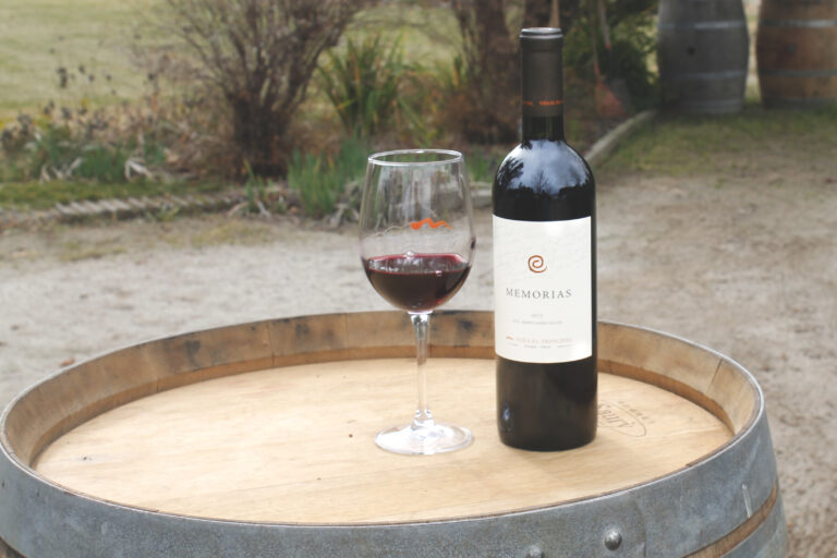 Vino chileno se posiciona dentro de los mejores de Latinoamérica y el mundo