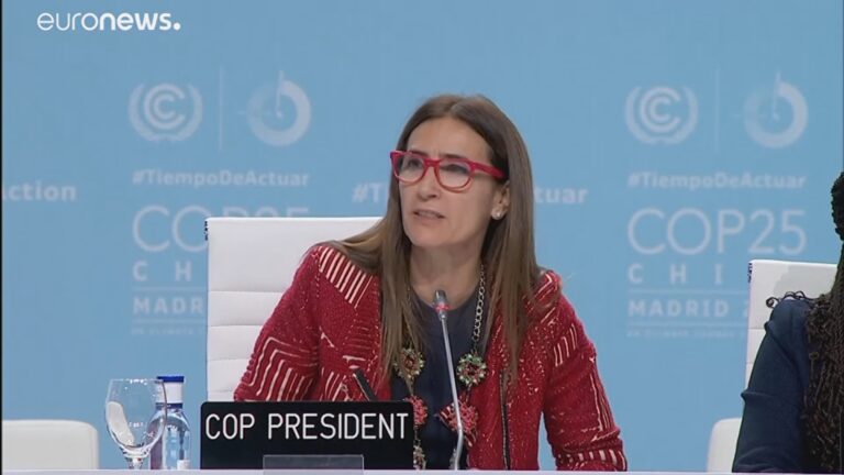 Carolina Schmidt calificó de 