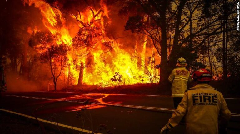 7 personas han muerto durante las últimas horas por incendios forestales en Australia