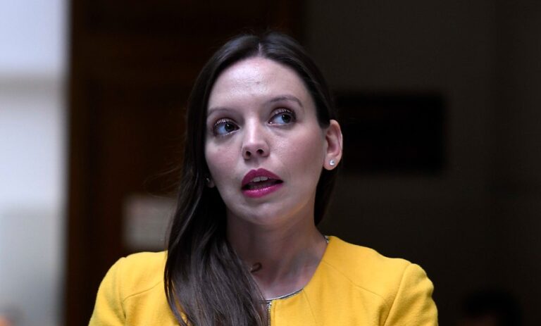 Camila Flores por nueva Constitución: 