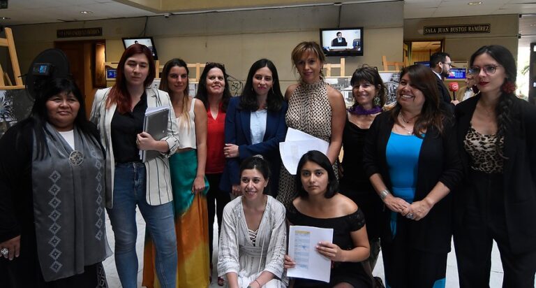 Diputadas de oposición anuncian interpelación a ministra Isabel Plá