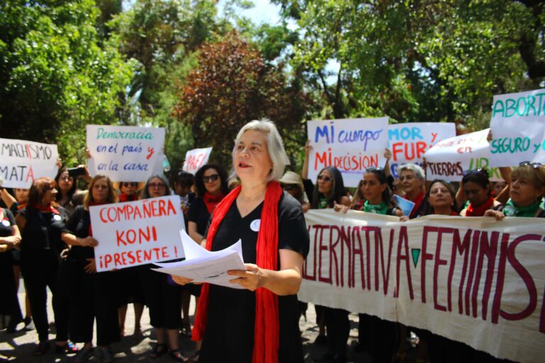 Inscriben nuevo partido inspirado en Lastesis Senior: 