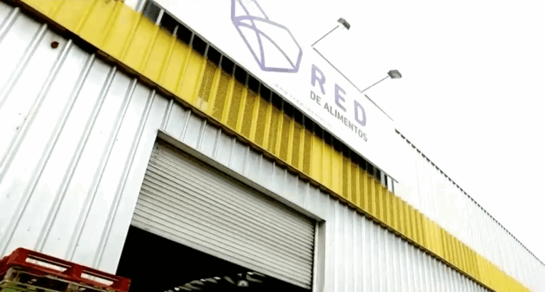 La red que rescata alimentos y los redistribuye antes de que terminen en la basura