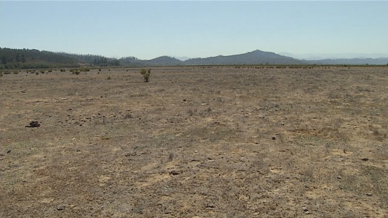 Ya se encuentra en su 5%: Advierten que Lago Peñuelas podría secarse