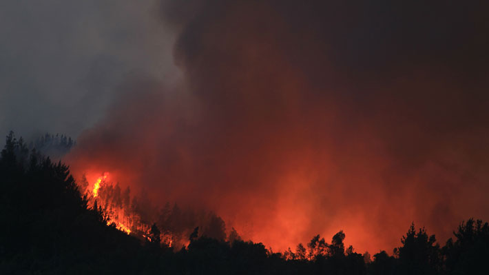 Incendios forestales en La Araucanía: La fiscalía ha recibido 105 denuncias y 5 formalizados
