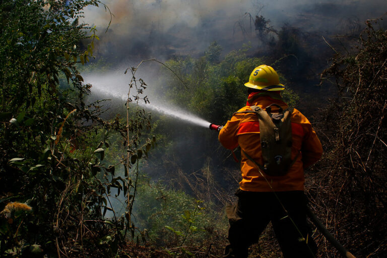 Declaran Alerta Roja para la comuna de Temuco por incendio forestal