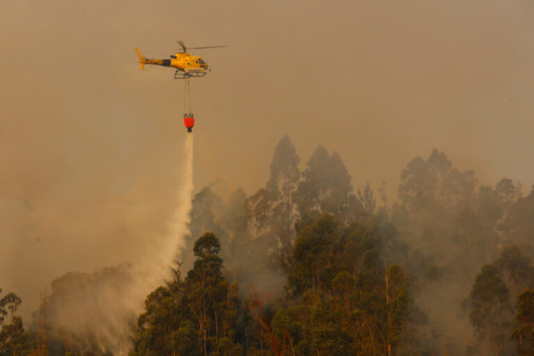 Más de 11 mil hectáreas han sido consumidas por incendio forestal que se mantiene activo desde hace 22 días en Molina