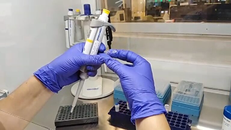 Llegó el kit de detección rápida para el coronavirus: Conoce a quiénes se les realiza y cuánto demora