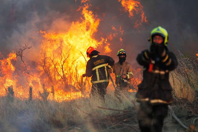 Comunas de Victoria y Tirúa en alerta roja por incendio forestal