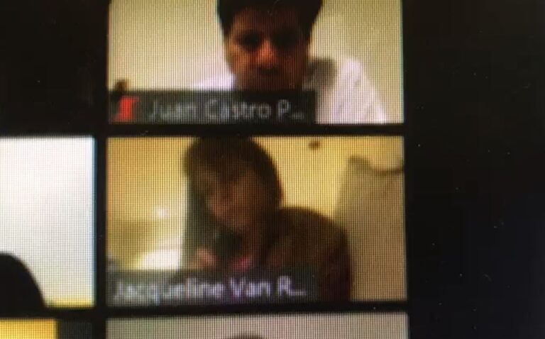 Jacqueline Van Rysselberghe es sorprendida en la cama y tomando vino durante sesión del Senado online