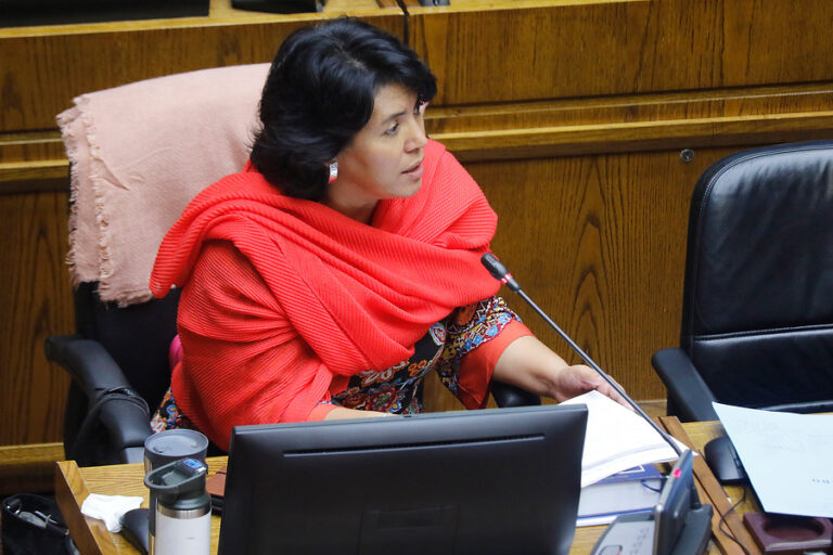 Yasna Provoste y cajas de alimentos: 