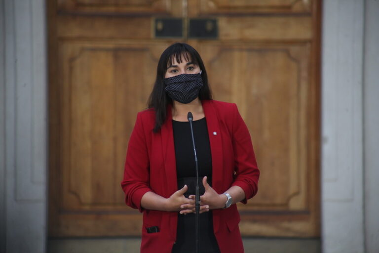 Izkia Siches por fiesta clandestina en Santiago: 