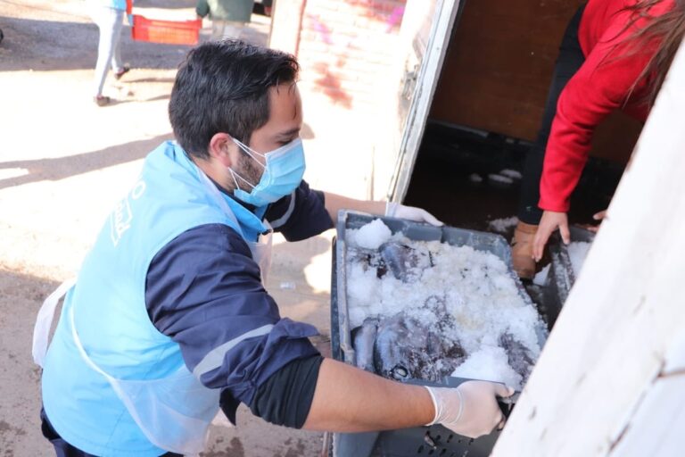 Pescadores de Lebu donan 1.500 kilos de reineta a comunas de El Bosque y La Pintana
