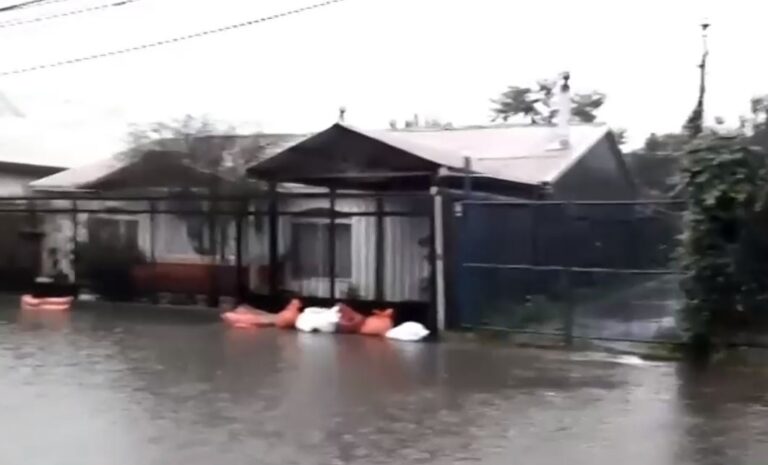 Temporal en Concepción dejó casas anegadas y sin techo por fuertes vientos de hasta 88 km/h