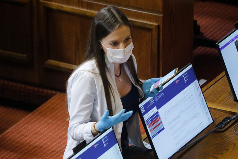 Camila Flores pide destinar recursos del Gore de Valparaíso a la entrega de cajas con productos para adultos mayores