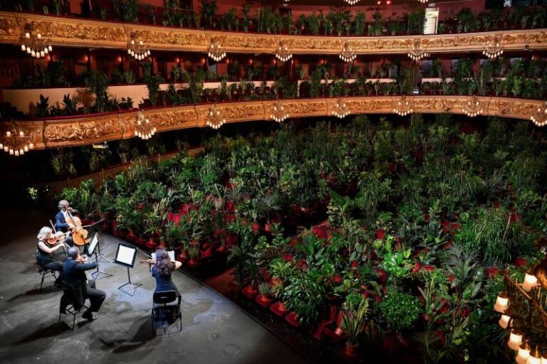 Ópera de Barcelona reabrió sus puertas con un concierto a más de 2 mil plantas