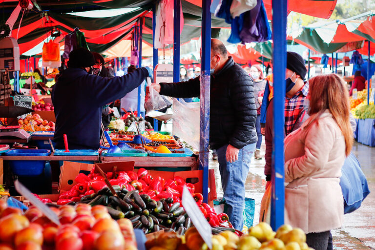 Frutas y verduras se encuentran en promedio un 32,6% más baratas en ferias que en supermercados