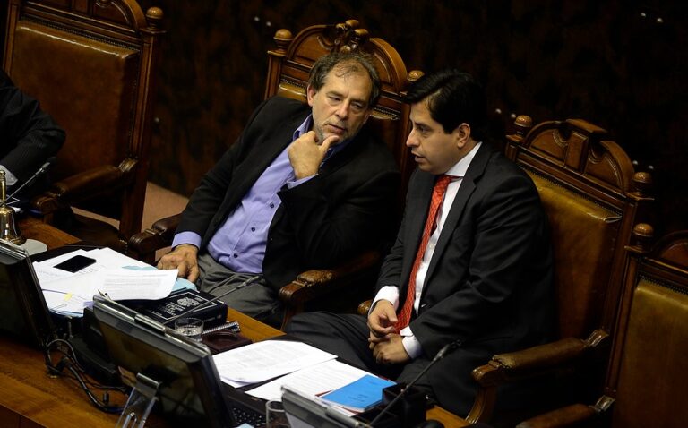 Senadores PPD presentarán reforma constitucional para implementar voto a distancia