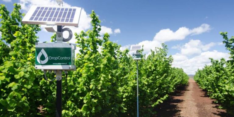 Ahorra entre 20% y 40% de agua: DropControl apuesta por el riego agrícola con datos subidos a la nube