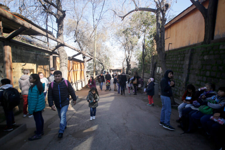 Zoológico Nacional y Buin Zoo vuelven a abrir sus puertas esta semana