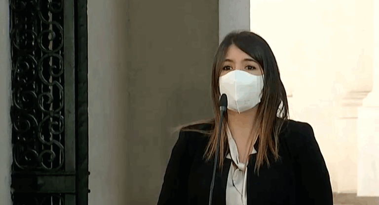 Gobierno anuncia permiso especial para actividades de campaña por el plebiscito