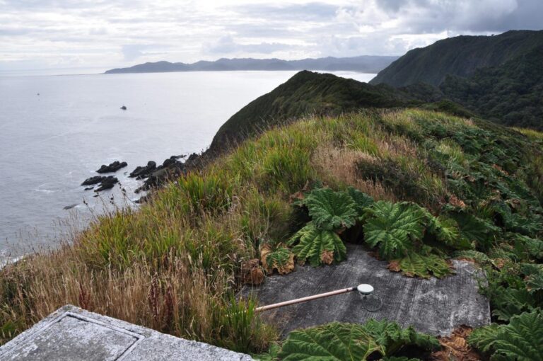 Ponen a la venta por US$ 20 millones a Isla Guafo, considerado un lugar sagrado por su origen mapuche